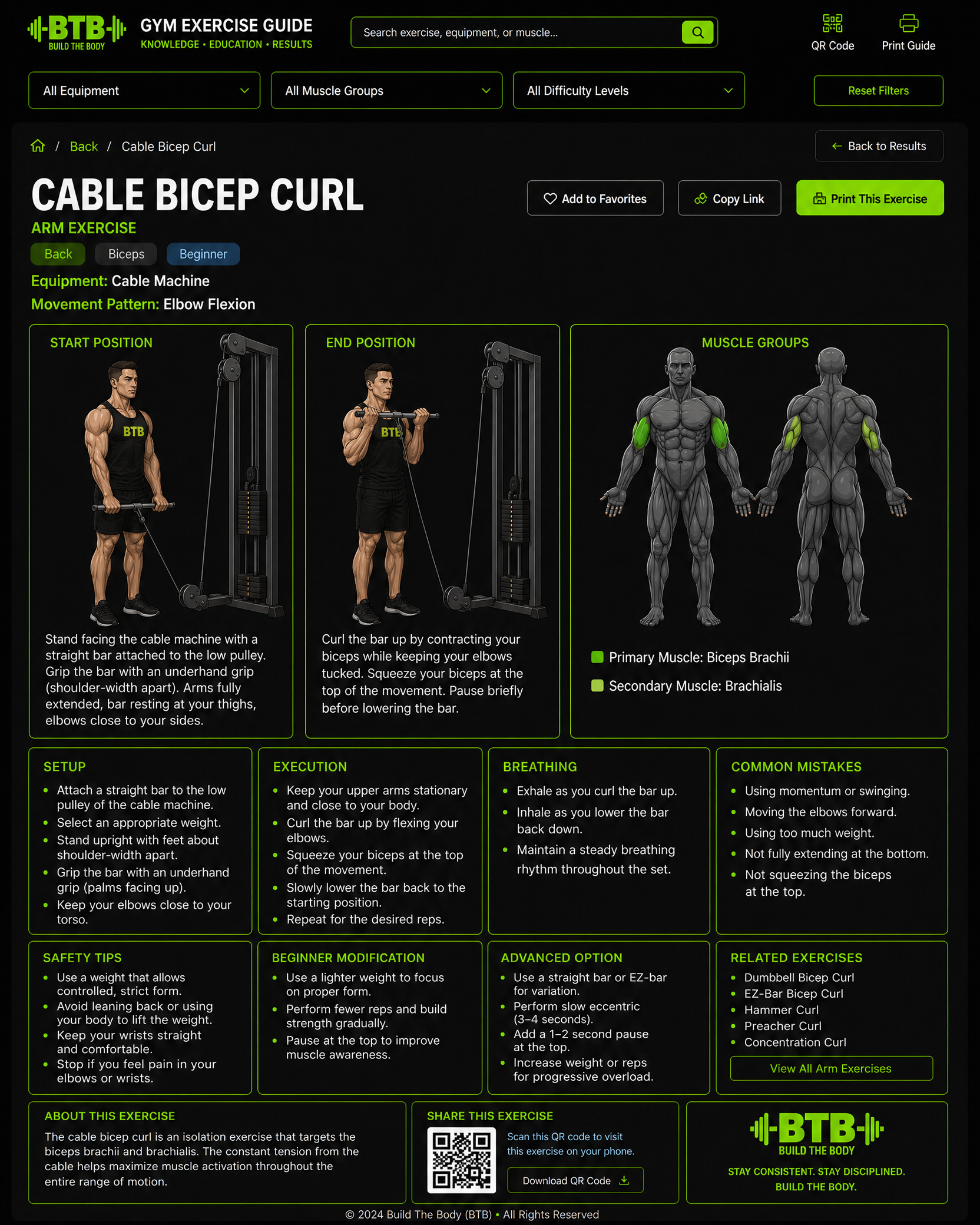 Cable Bicep Curl exercise guide